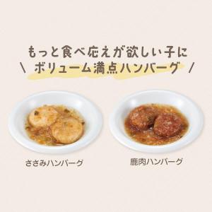 犬ウェットフード PEPPY LIFE わんデ...の詳細画像5
