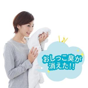 洗濯洗剤 ペット臭 ランドリーきらら(ペット専...の詳細画像3