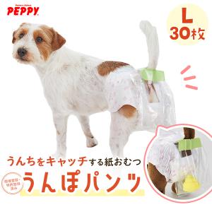 うんぽパンツ Ｌ・30枚　犬 おむつ 介護 おもらし シニア犬 老犬 トイレ補助 トイレトレーニング お留守番 ペット ペピイ PEPPY