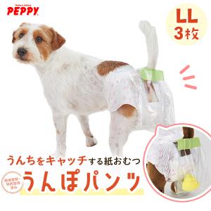 うんぽパンツ ＬＬ・3枚　犬 おむつ 介護 おもらし シニア犬 老犬 トイレ補助 トイレトレーニング お留守番 ペット ペピイ PEPPY｜peppynet