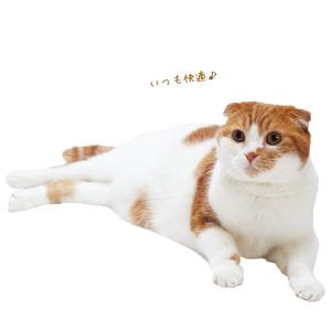リフレサンド おから 1個 猫砂 猫トイレ ね...の詳細画像5
