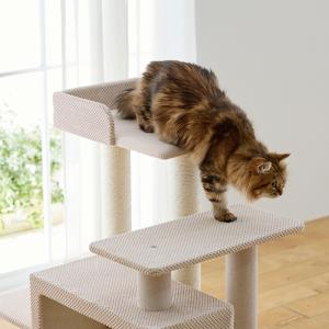 シニア猫にやさしいローステップタワー 本体 高...の詳細画像4