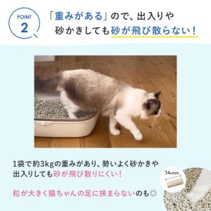 ★マジカルサンド 超清潔 システムトイレ用 猫...の詳細画像2