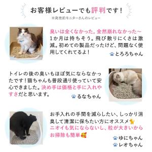 ★マジカルサンド 超清潔 システムトイレ用 猫...の詳細画像5