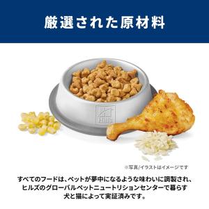 サイエンスダイエット 毛玉ケア 7歳以上高齢猫...の詳細画像2