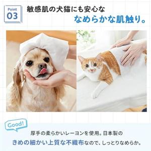 犬 猫 ウェットティッシュ 万能ウェットタオル...の詳細画像4