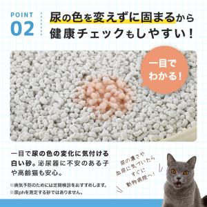 マジカルサンド 5L×12個 ほこりがたたない...の詳細画像2