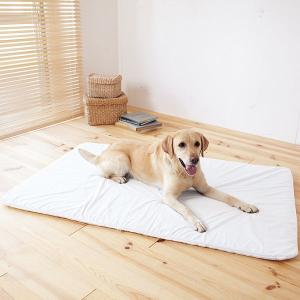 老犬 シニア フィーヌエアーマット Mサイズ 介護用品