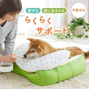 老犬 シニア 王様のらくすや 中型犬用 介護用品 シニア