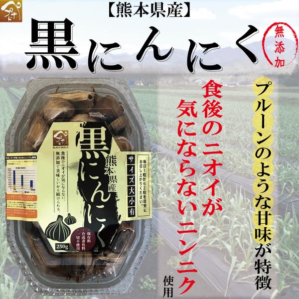 【熊本県産】黒ニンニク　250ｇ入　無添加　食後のニオイが気にならないニンニク使用！