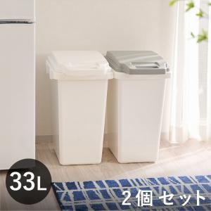 ゴミ箱 33L 2個セット 抗菌ペール ふた付き パッキン付き 防臭 ダストボックス ごみ箱 dst-kup0015st2｜perfect-floors