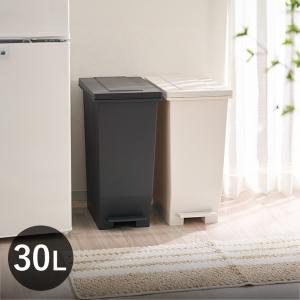 DULTON（ダルトン） ゴミ箱 分別 ダストボックス 30L ×2 ペダル式