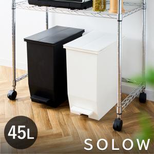 DULTON（ダルトン） ゴミ箱 ふた付き ダストボックス 40L ステンレス