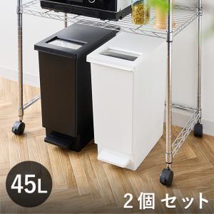 DULTON（ダルトン） ゴミ箱 ふた付き ダストボックス 40L ステンレス