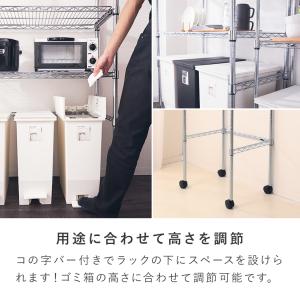 予約販売(通常1ヶ月以内出荷) ルミナス スチ...の詳細画像4