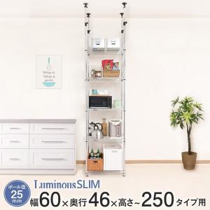 IRIS OHYAMA（アイリスオーヤマ） スチールラック 5段 幅55 突っ張り