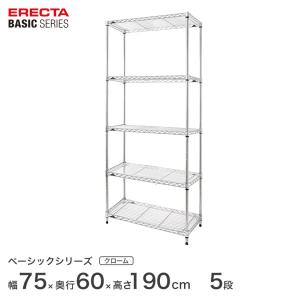 ベーシックシリーズ エレクター ベーシック フリーラック クローム 幅75×奥行60×高さ190cm 5段 RBR3024745C｜perfect-space