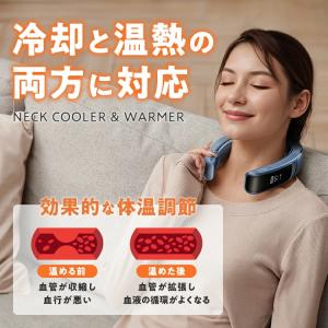 2025最新モデル AICE LITE プラス...の詳細画像3