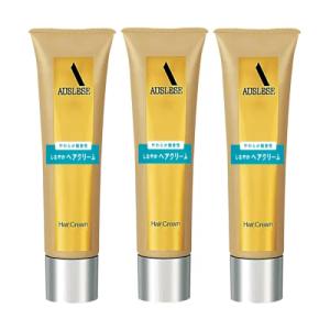 SHISEIDO（資生堂） アウスレーゼ ブリランチンN ポマード 80g : フジ