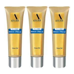 アウスレーゼ 資生堂 グロスジェル 100g : Perfect Shop LAB. - 通販
