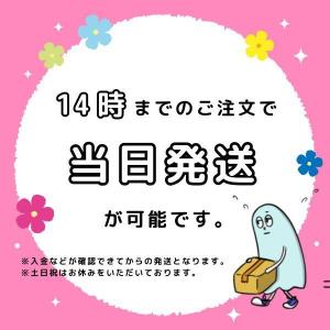 この素晴らしい世界に祝福を! 紅伝説 ハンドタ...の詳細画像5