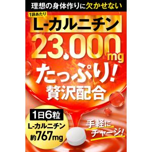 カルニチン 23,000mg ダイエット EA...の詳細画像3