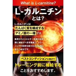 カルニチン 23,000mg ダイエット EA...の詳細画像4