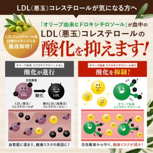 コレステ・血圧Wケア LDL悪玉コレステロール...の詳細画像3