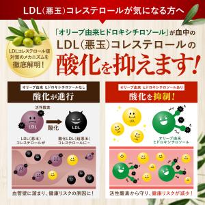 コレステロール・脂肪のWケア LDL悪玉 コレ...の詳細画像3