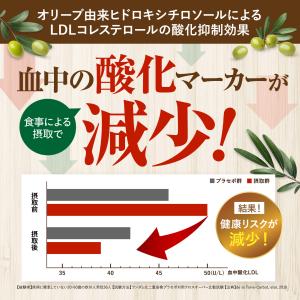 コレステロール・脂肪のWケア LDL悪玉 コレ...の詳細画像5