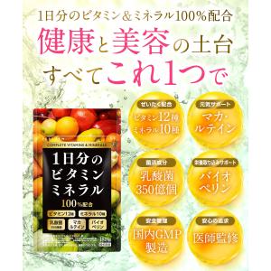 マルチビタミン 1日分のマルチビタミン&ミネラ...の詳細画像2