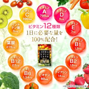 マルチビタミン 1日分のマルチビタミン&ミネラ...の詳細画像5