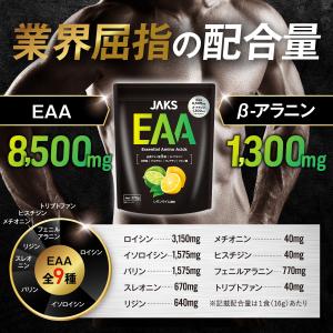 EAA BCAA JAKS 272g EAA8...の詳細画像1