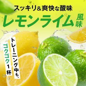 EAA BCAA JAKS 272g EAA8...の詳細画像4