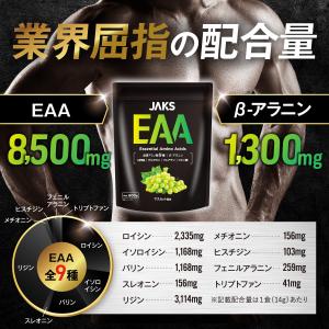 EAA BCAA JAKS 600g EAA8...の詳細画像3