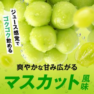 EAA BCAA JAKS 600g EAA8...の詳細画像5