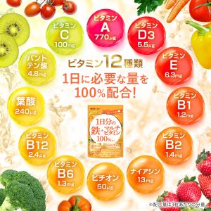 鉄分 マルチビタミン 鉄分21mg × マルチ...の詳細画像4