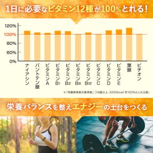鉄分 マルチビタミン 鉄分21mg × マルチ...の詳細画像5