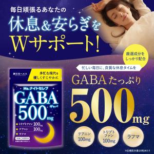GABA 500mg Ms.ナイトセレブ トリ...の詳細画像1