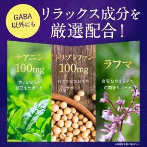 GABA 500mg Ms.ナイトセレブ トリ...の詳細画像5