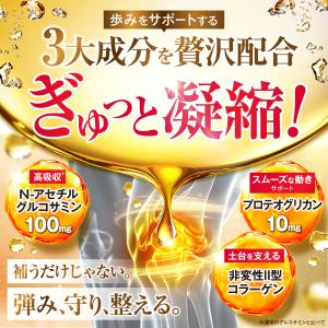 グルコサミンの極み N‐アセチルグルコサミン1...の詳細画像3