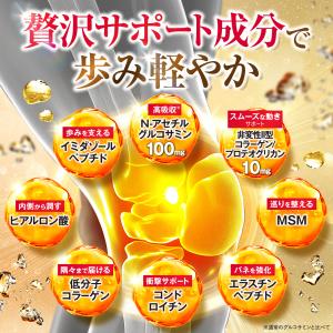 グルコサミンの極み N‐アセチルグルコサミン1...の詳細画像4