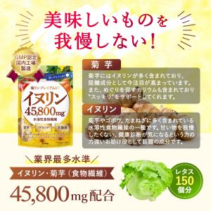 イヌリン 菊リンプレミアムEX 水溶性 食物繊...の詳細画像3