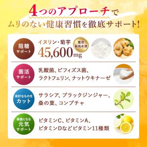 イヌリン 菊リンプレミアムEX 水溶性 食物繊...の詳細画像5