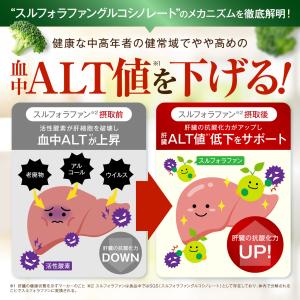 スルフォラファン 肝機能・体脂肪のWケア エラ...の詳細画像3
