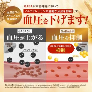 GABA 血圧ダウンEX 高めの血圧を下げる ...の詳細画像3