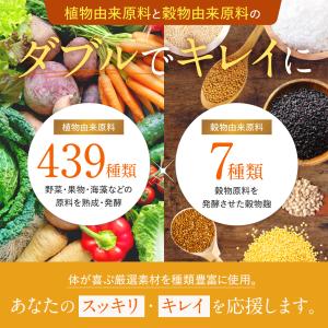 酵素 炭と菌のすっきり生酵素 498種贅沢配合...の詳細画像4