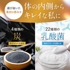 酵素 炭と菌のすっきり生酵素 498種贅沢配合...の詳細画像5