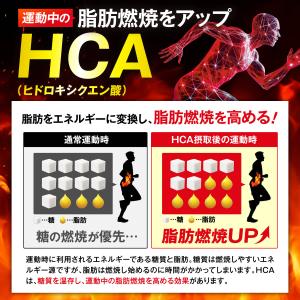 ダイエット サプリ 脂肪燃焼 内臓脂肪 皮下脂...の詳細画像3
