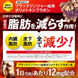 ダイエット サプリ 脂肪燃焼 内臓脂肪 皮下脂...の詳細画像5